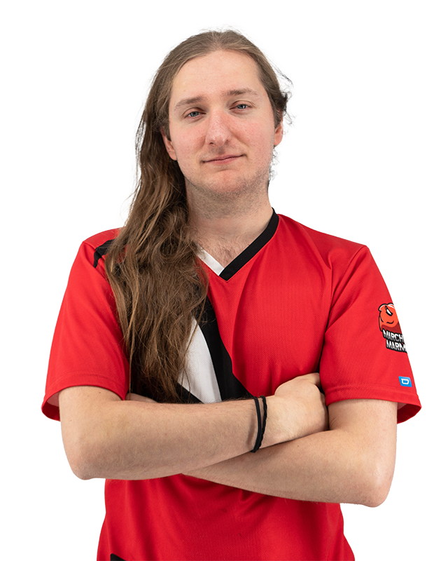 Vice President of a Swiss E-Sport Team named March Marmots